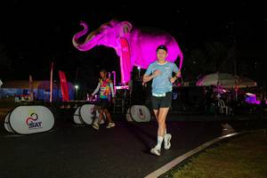 BIB: 
                            <button type="button" onclick="openModal(26542948)" class="btn btn-primary btn-sm float-right btn-popup" data-toggle="modal" data-target=".modal-high-quality">
                        <i class="fas fa-shopping-cart"></i> Add to Cart
                    </button>
                                            <button type="button" onclick="isThisMe(26542948, true)" class="btn btn-success btn-sm float-right btn-popup btn-isme hidden" data-toggle="tooltip" data-placement="bottom" title="นี่คือรูปของคุณใช่ไหม คลิกที่นี่เพื่อเอาเข้าอัลบั้ม">
                        <i class="fas fa-plus"></i> Add to album
                    </button>
                    <button type="button" onclick="isThisMe(26542948, false)" class="btn btn-warning btn-sm float-right btn-popup btn-isnotme hidden">
                        <i class="fas fa-ban"></i> Remove from album
                    </button>